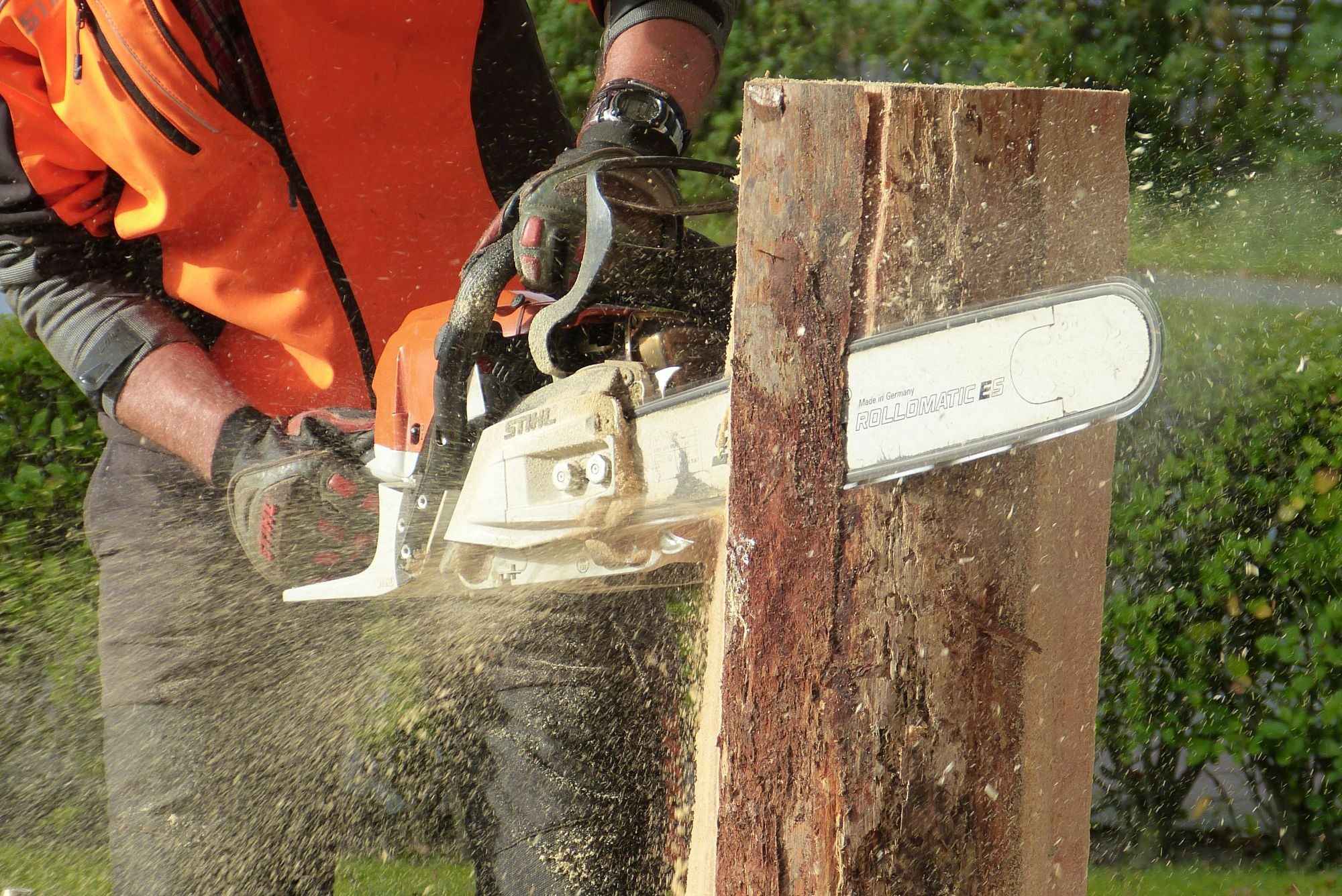 Close-up of gloved hands operating a chainsaw cutting into a thick tree trunk, with a spray of sawdust and green hedges behind